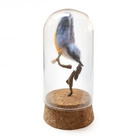 4952C Nuthatch in a Dome – Sue Clements