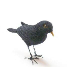 4953C Blackbird – Sue Clements