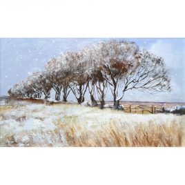 5467C Snow Flurries, Exmoor- Caroline McMillan Davey