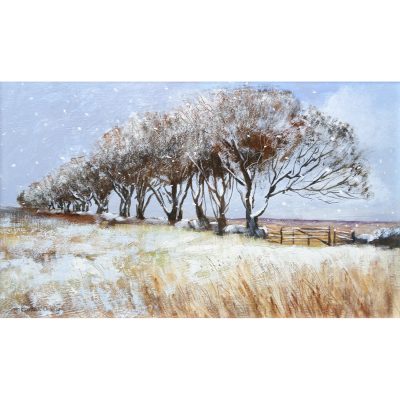 5467C Snow Flurries, Exmoor- Caroline McMillan