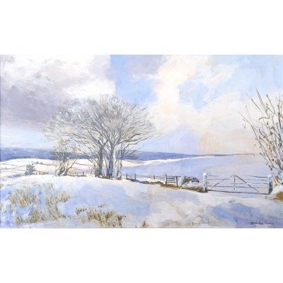 5471C First Snowfall - Caroline McMillan