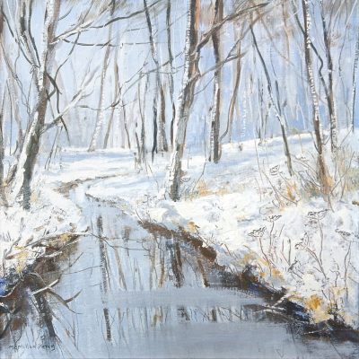 5472C Woodland Stream - Caroline McMillan