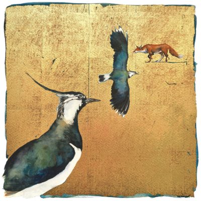 0018S In the Autumn Comes the Lapwing by Jackie Morris