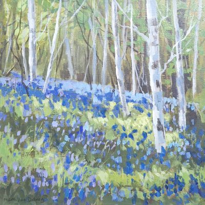 5535C Birches and Bluebells - Caroline McMillan