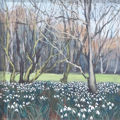 5537C Winter Trees and Snowdrops - Caroline McMillan