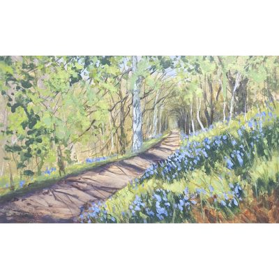5539C Bluebells and Shadows - Caroline McMillan