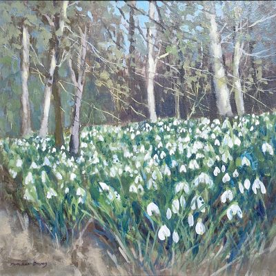 5540C Woodland Snowdrops - Caroline McMillan