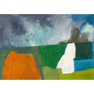 5531C The Far Fields - Elizabeth A Fox