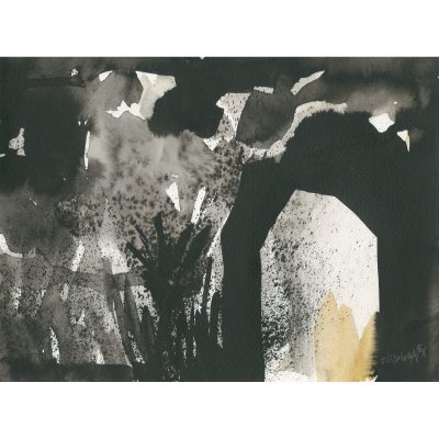 5553C Sleeping Houses - Elizabeth A Fox