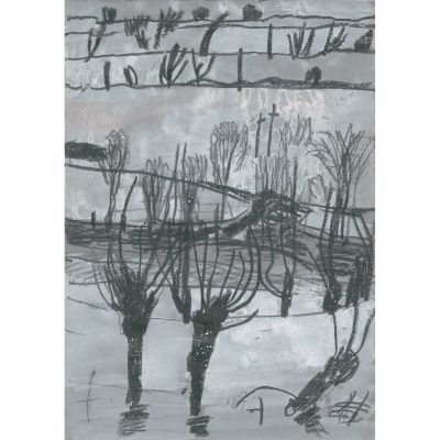 5560C Flooded Water Meadows - Elizabeth A Fox