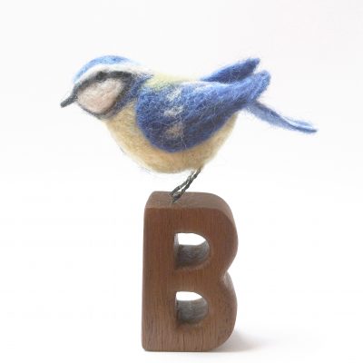 5565C Blue Tit on B - Sue Clements