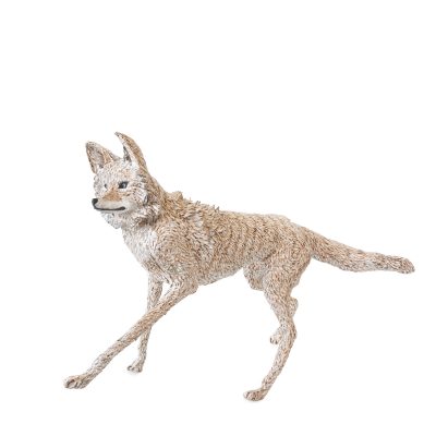 5746C Coyote - Val George
