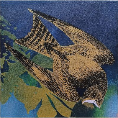 5763C Nightjar on  Navy, Green & Gold - Jim Starr