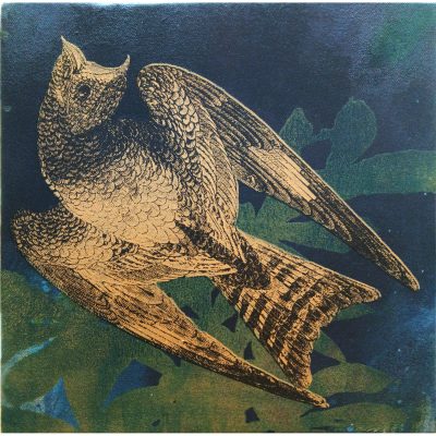 5764C Nightjar on  Navy, Green & Gold - Jim Starr
