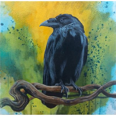 5767C The Raven - Jim Starr