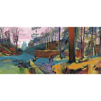 5750C Exmoor Woodland - Simonsbath -  Leo Davey