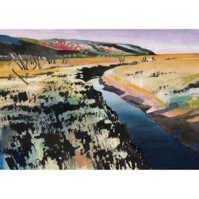 5755C Porlock Marsh, Looking West -  Leo Davey