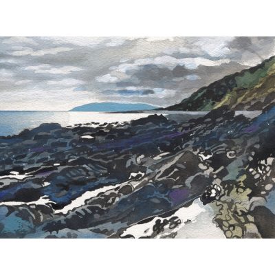 5752C West of Porlock Weir -  Leo Davey