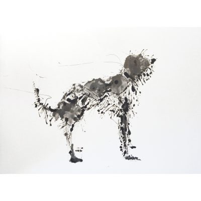 5326C Splatter dog - Sally Muir