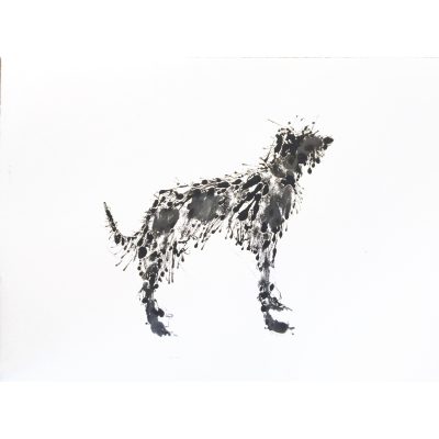 5327C Splatter dog - Sally Muir